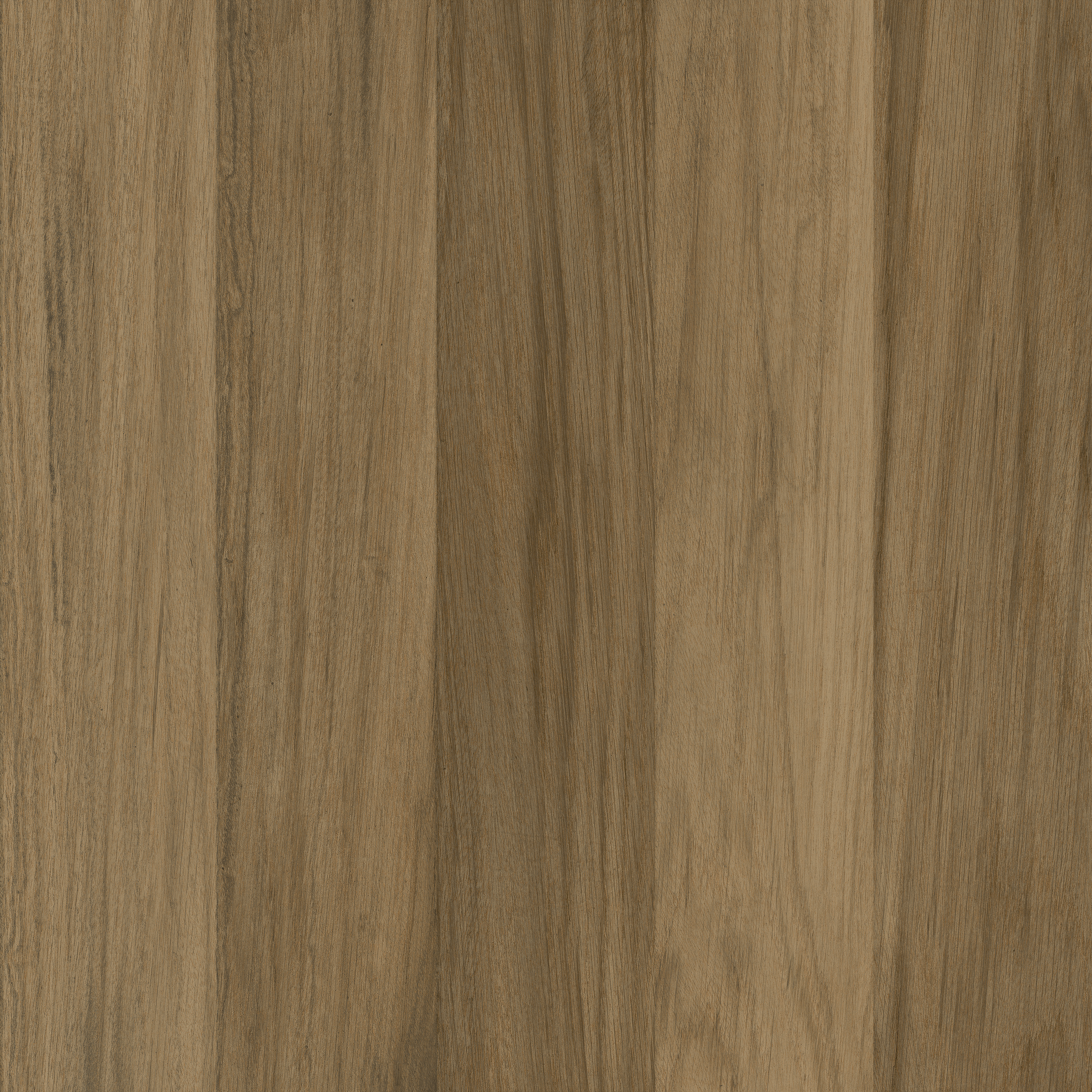 TEXAS TAUPE R&Uacute;STICO